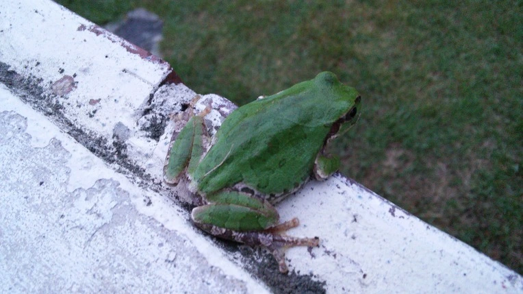 275CD93657C3992632B290