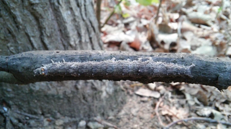 2105944B5722BCCF2697CB