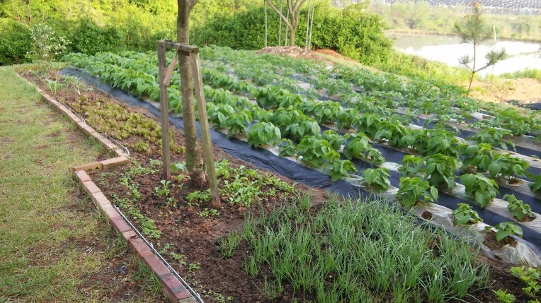 2140B434572E674627ED41