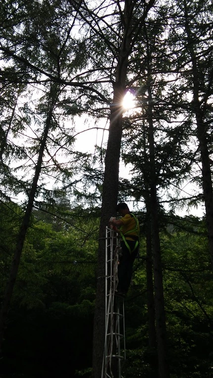 2313F14559300A2D3735A5