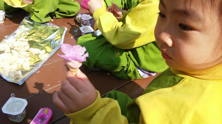 272436415652851A18B352