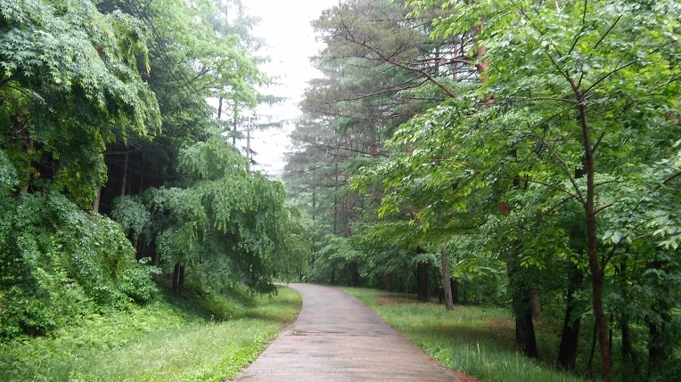 235392475924D6DF4121AA