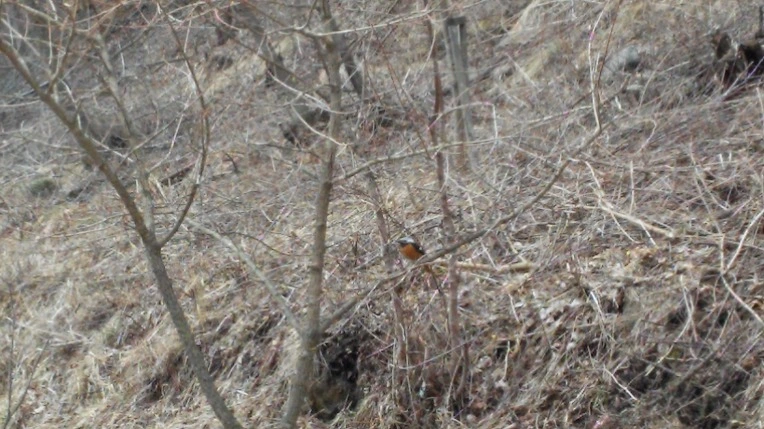 2279D63A56F721AF1CB39F