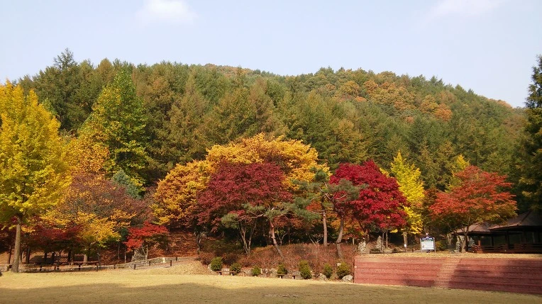 24548E4D562880342AD0F0