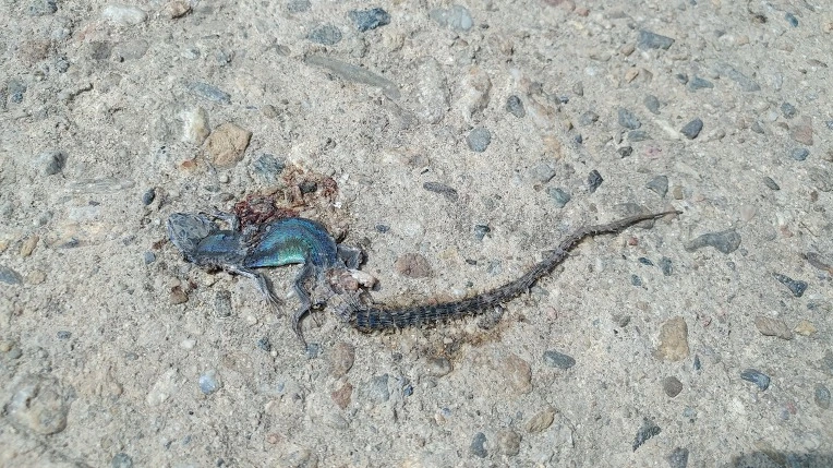 99A34F385ABD66610BEF63