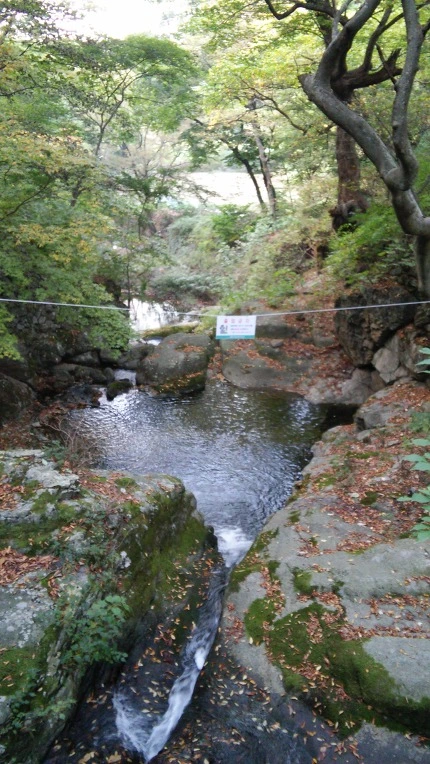 21078645560FBD0C1EF0B9