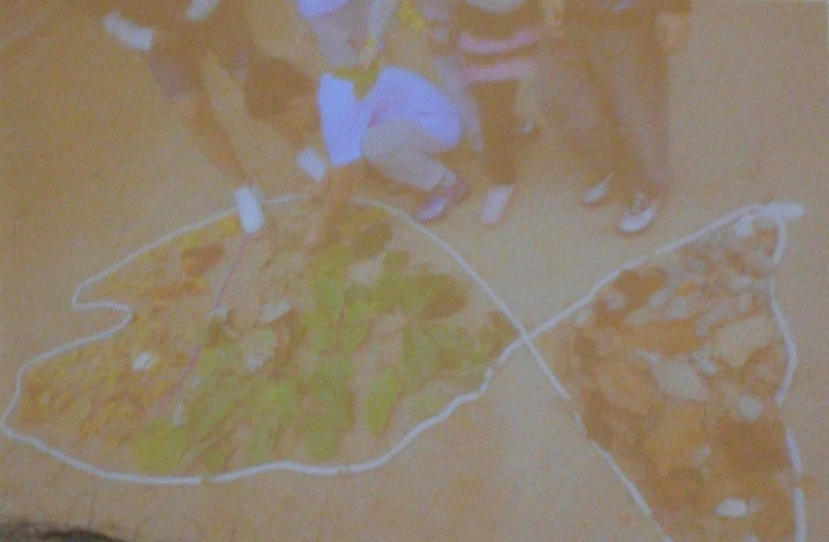 21133E3A56FA722237A497