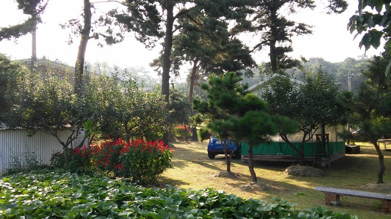 997E9F3359A7DC593418EC