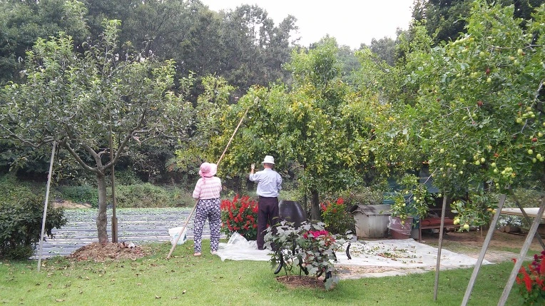 2318384357E795EC09C554