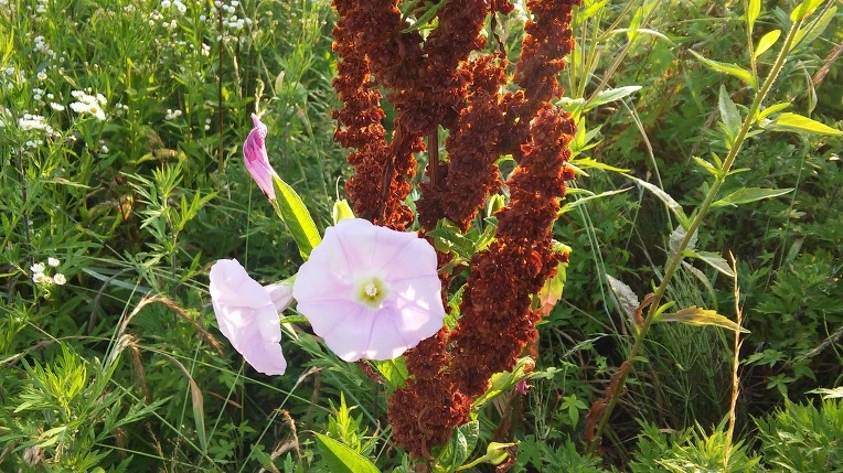 2571E64A576F7D5F033D4B