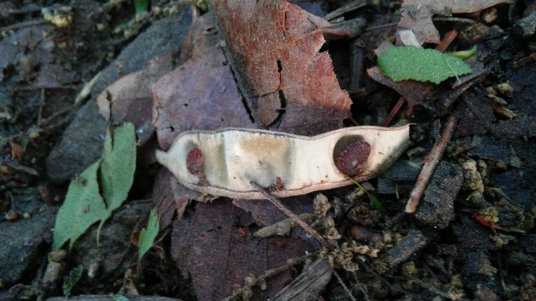 2260D44B57292CED1CEAD6