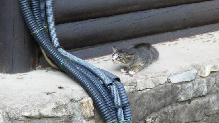 2767BA3455FB6DE021AD90