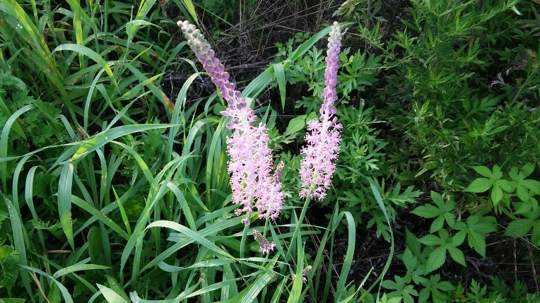 23041B4157A19F7123DBD0