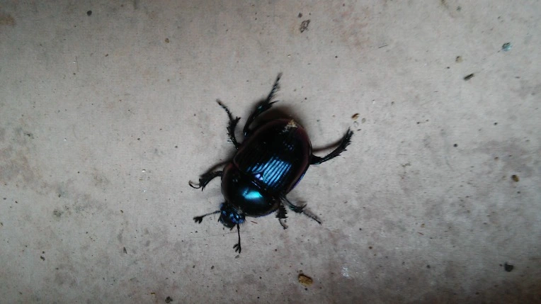 2128D9355909CA7B1365F4