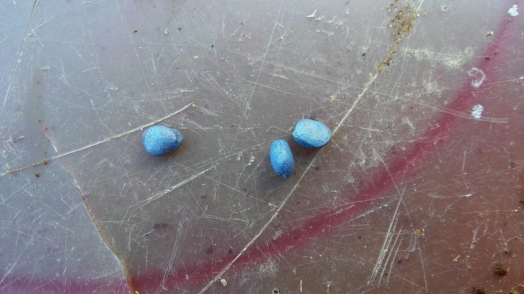 2172744C57C0F62109A97F