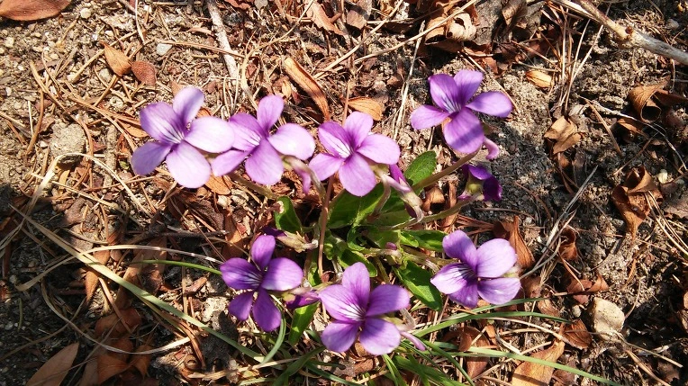 2665D83858CDACD523BAC5