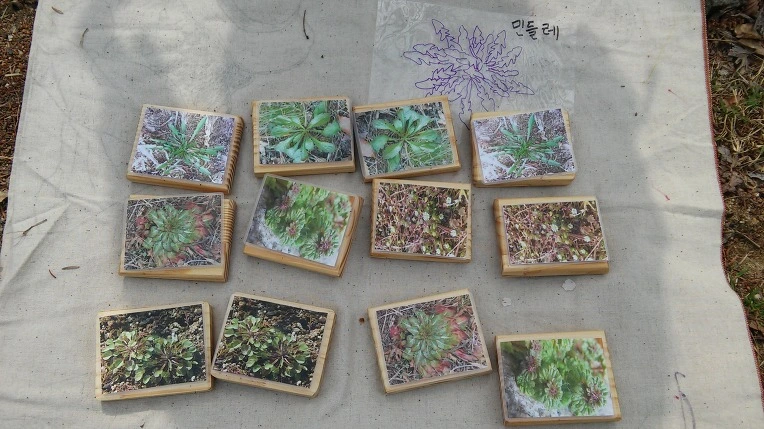 2510FE4F570965DF204321