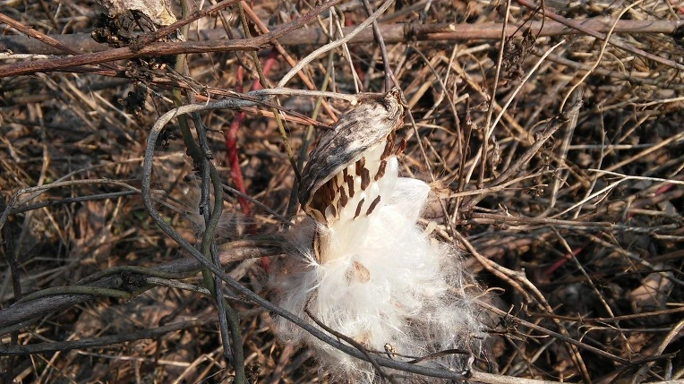 245EE03556B3078E0FA775