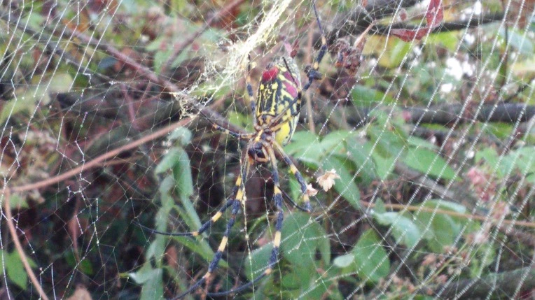 24565C3557E468312A4AE3