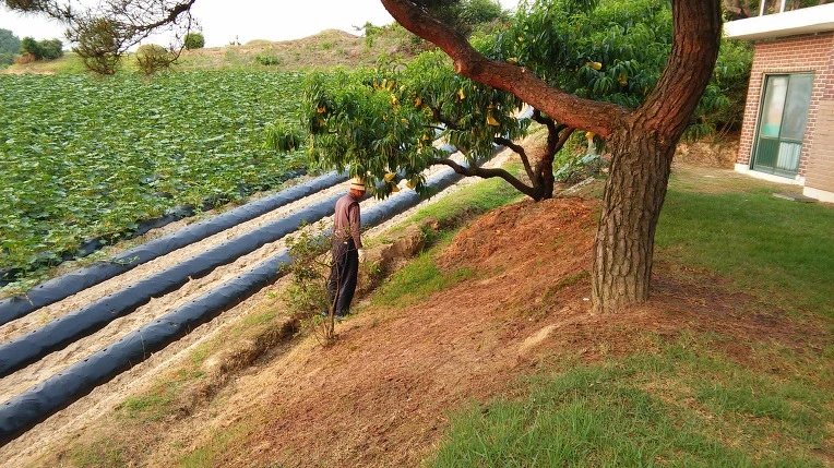 227ADC3A576495B71505FA