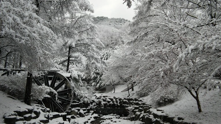 27326939565F945F37ABEC