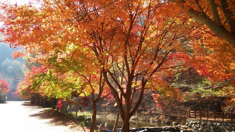 9928DC335A0ED112300383