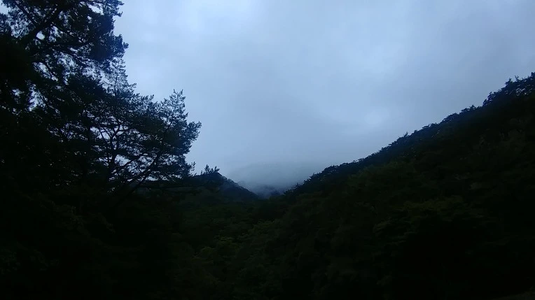 9981E4485D9ACDD4101B90