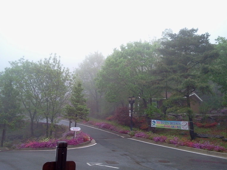 2559304E51259A432C3327