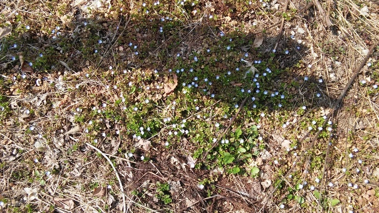 231C473556F775F127F633