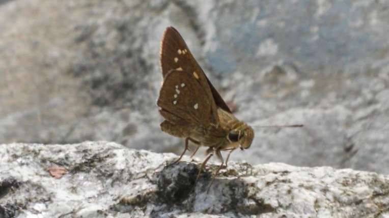 223AB83F55ADF9F20C2C18