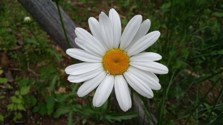 2639A04B572FBDE62EBC4C