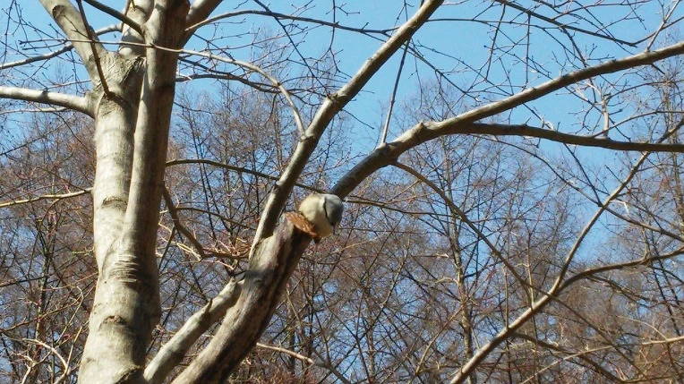 267D9A3C5501394E289713