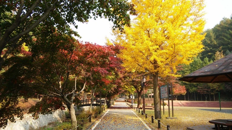 2674104D562880240D6A2C