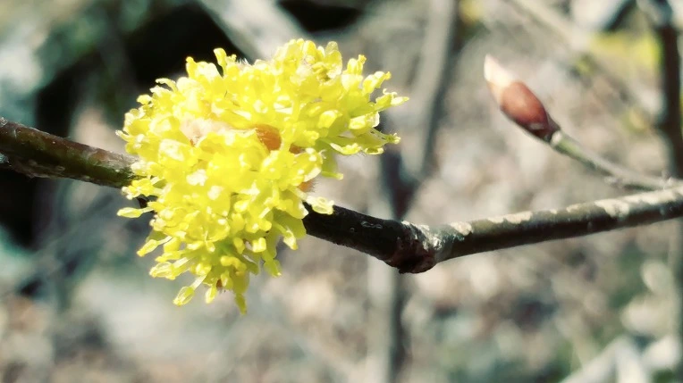 99B633405EBE1C751FEF23