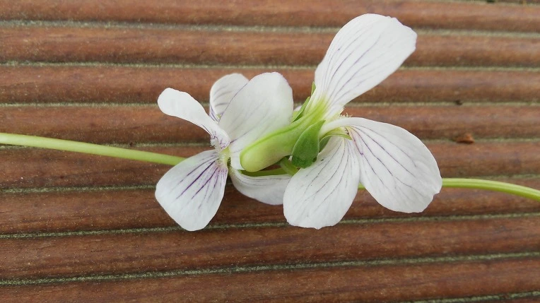 227F584B572480D2306C7D