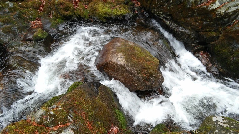 270A683858DF028328ED2E