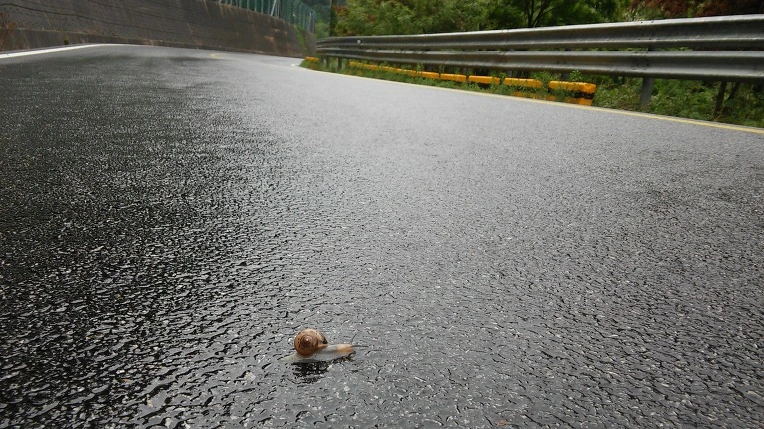 252F02475924D6D008E8DE