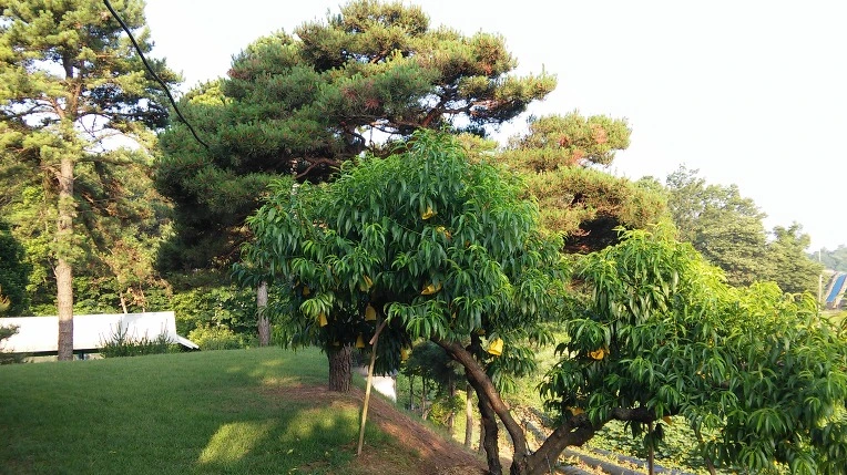 275E5A47576F808023B5FB