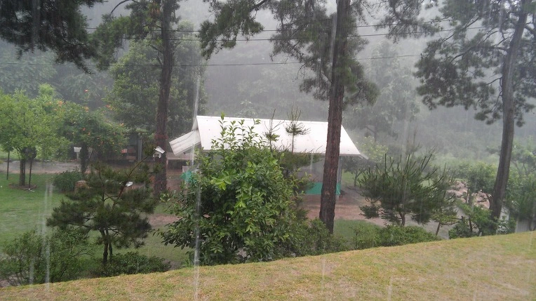 242AA44E577DE45729E6D9