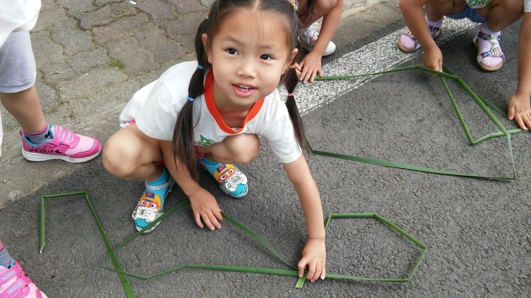 224E7C455652886134D15D