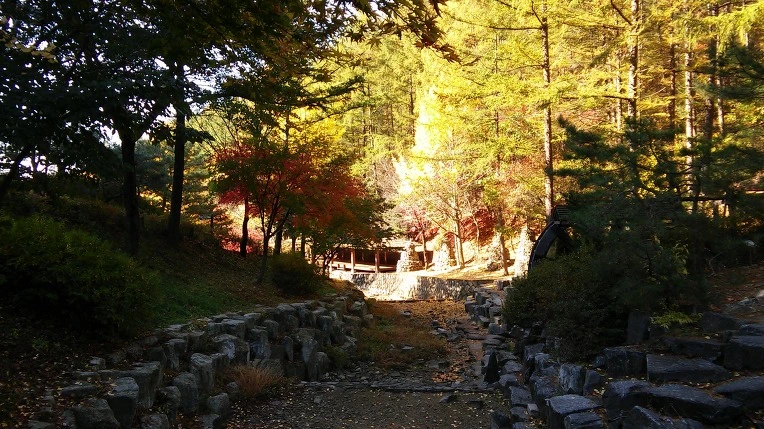 232F2A48568D03A93B62DA