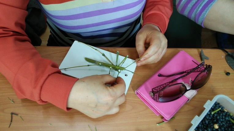 2417EA4A5724808B0C361D