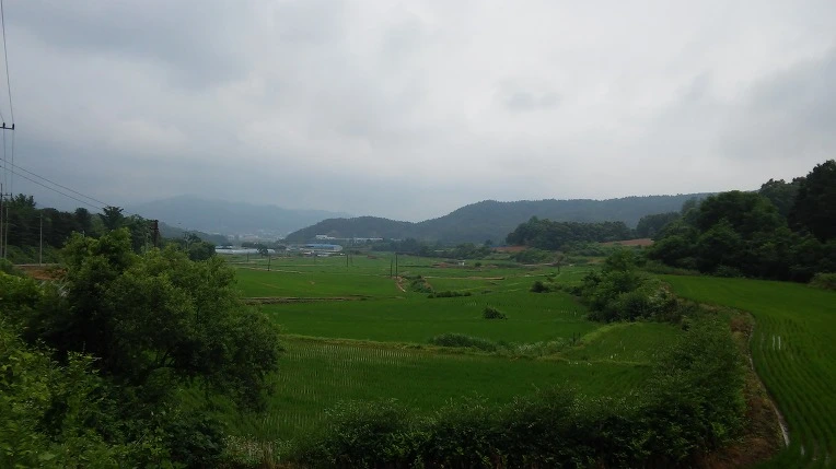 215AD13B576CFBE0444E35