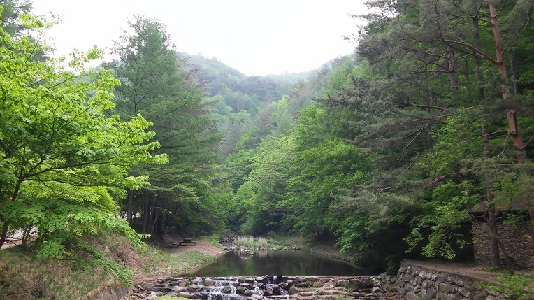 2464D03559155DDC2E42F9