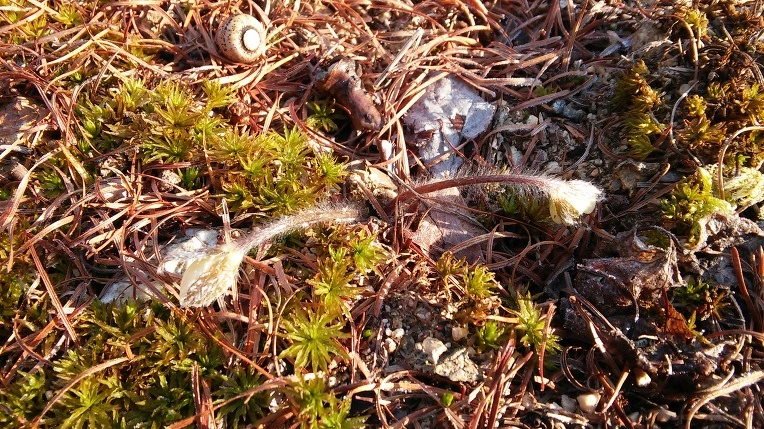 265A123456F721971DF60B