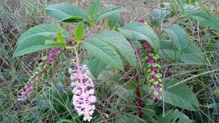 251FEE3357E4680E2FDA71