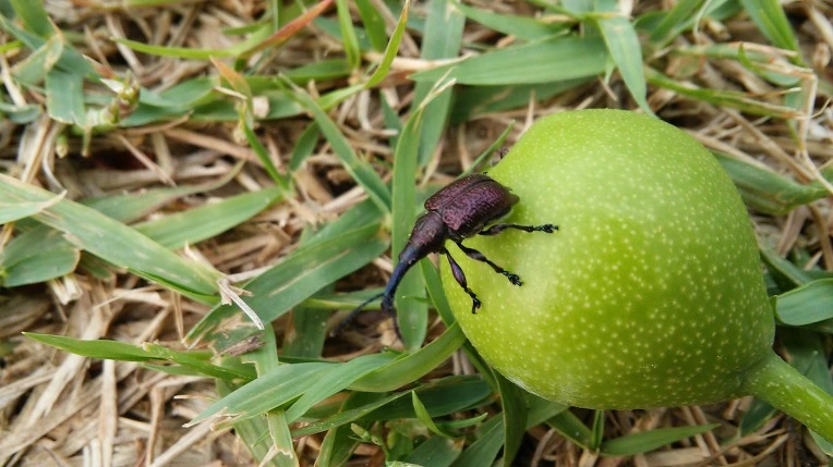 214CF7445745886218EFBE