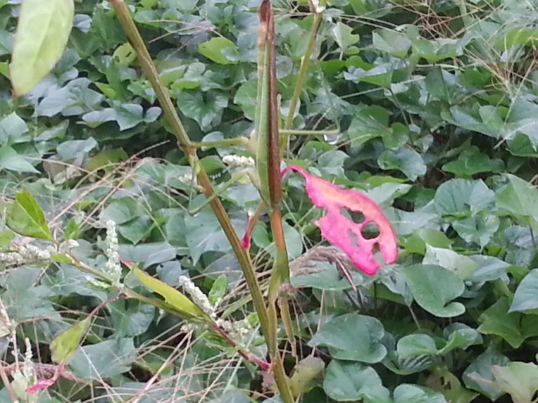 2679214D553D9ED01D8326