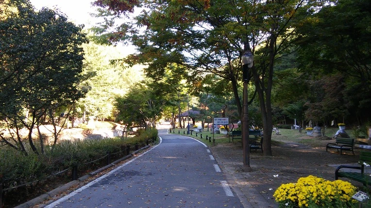 2636A43656197969075812