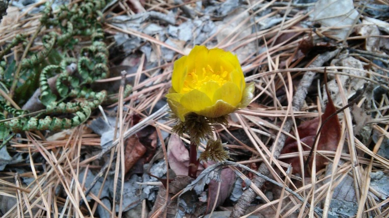 276EAB4456D1084E06E599